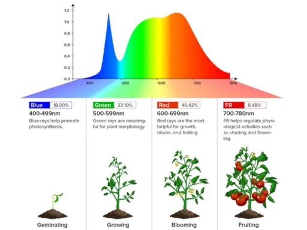 SHIPPING AVAILABLE Lot of 6 100W Full Spectrum LED Grow Light Quantum Board, IP65 Waterproof Plant Growing Lamp(A1-07)