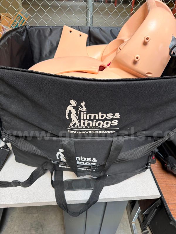 Limbs and things birthing simulator
