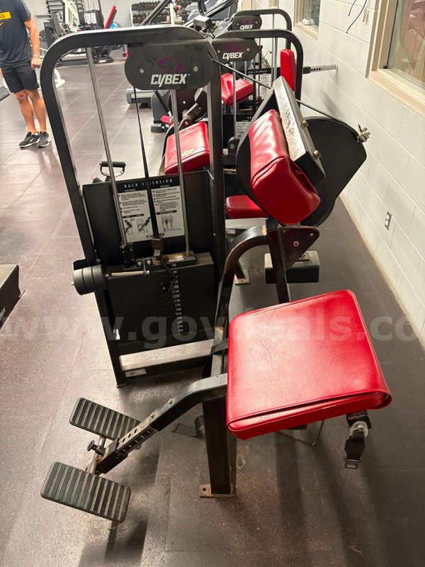 Cybex Back Extensions Machine