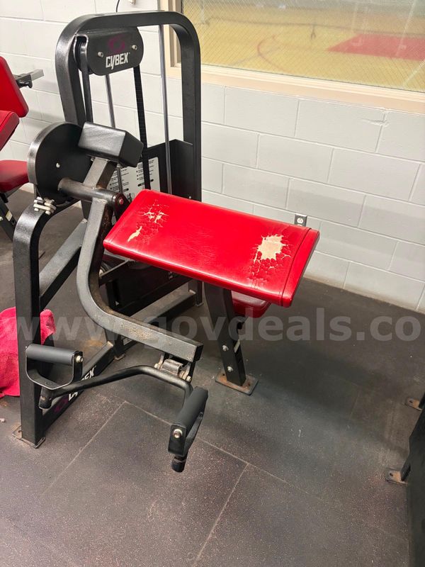 Cybex Selectorized Bicep Curl Machine