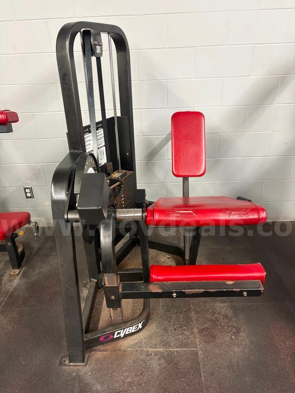 Cybex Selectorized Leg Extension