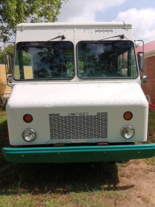 2008 Workhorse W42