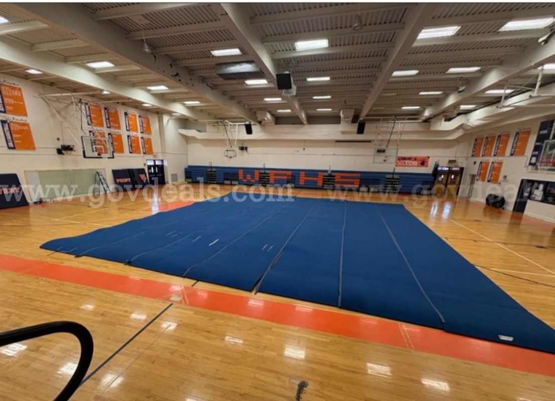 Dollamur Cheer Mats
