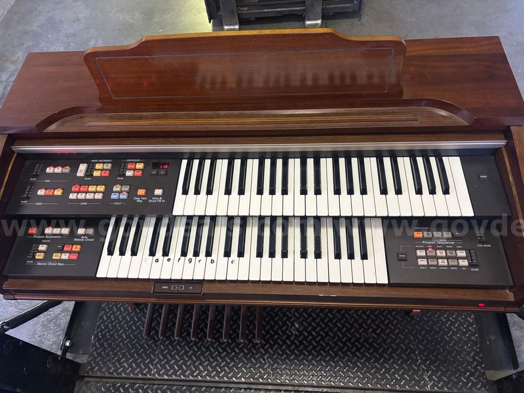 Organ