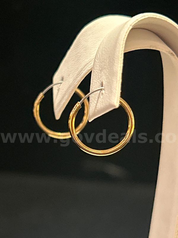 Gorgeous, Small Hoop Earrings, 24K Gold Filled.