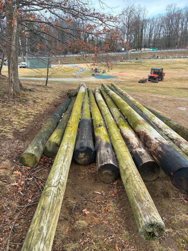 11 Utility Poles