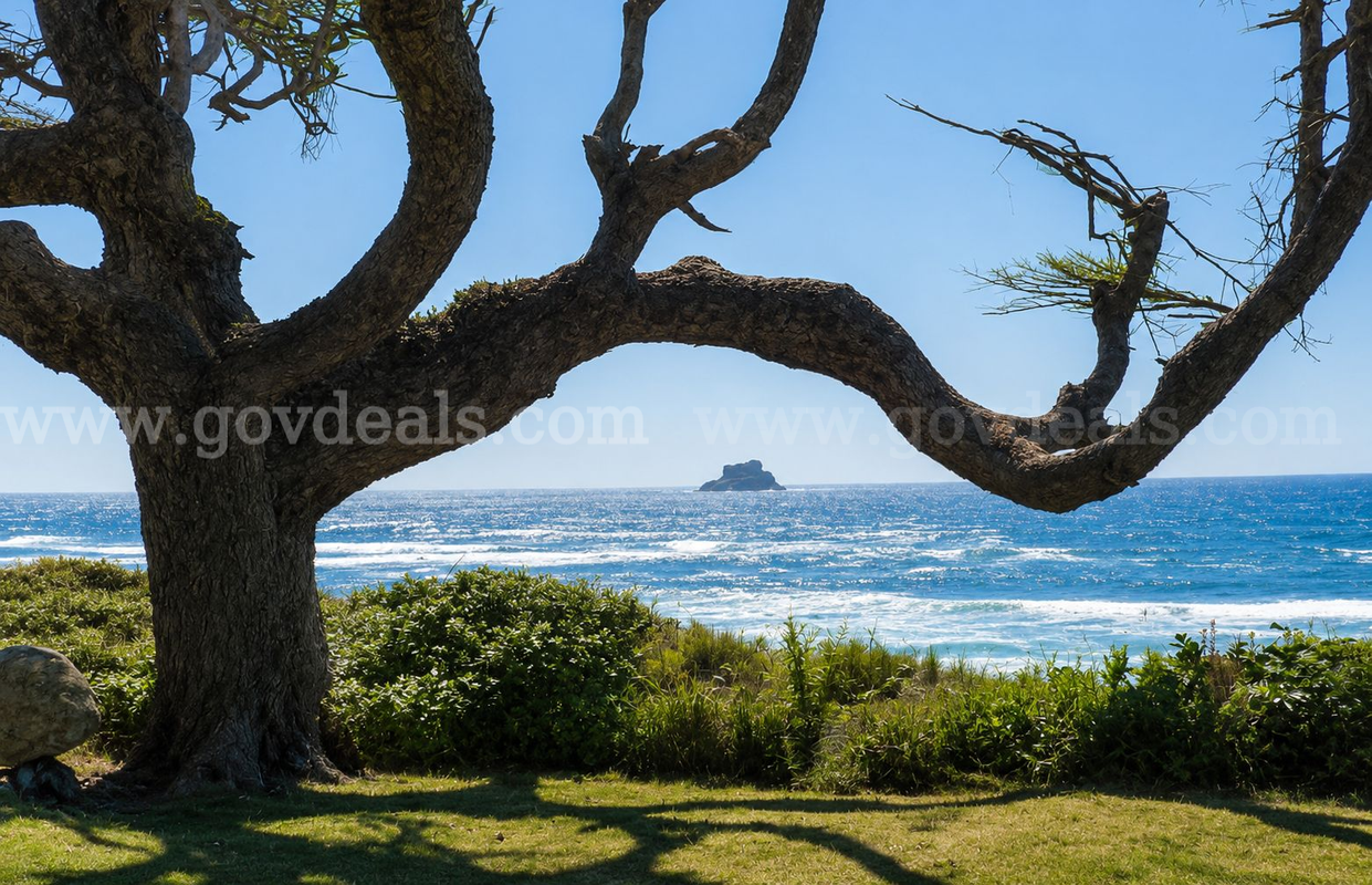 0.12 Acres Residential Forestland Arch Cape, OR (AC-RCR)