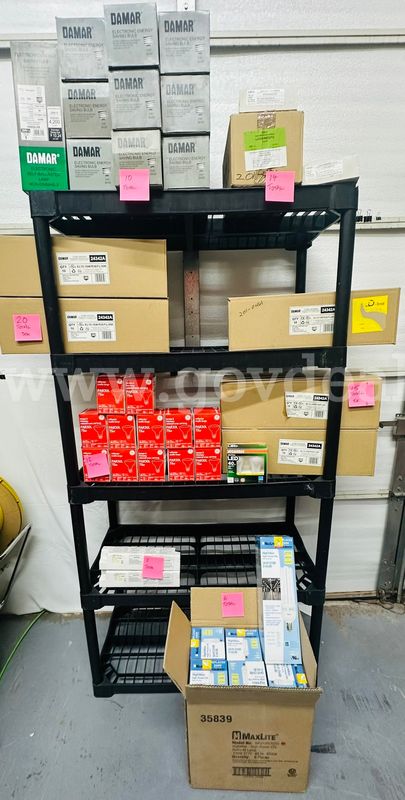 Bulbs and Lamps - Lot