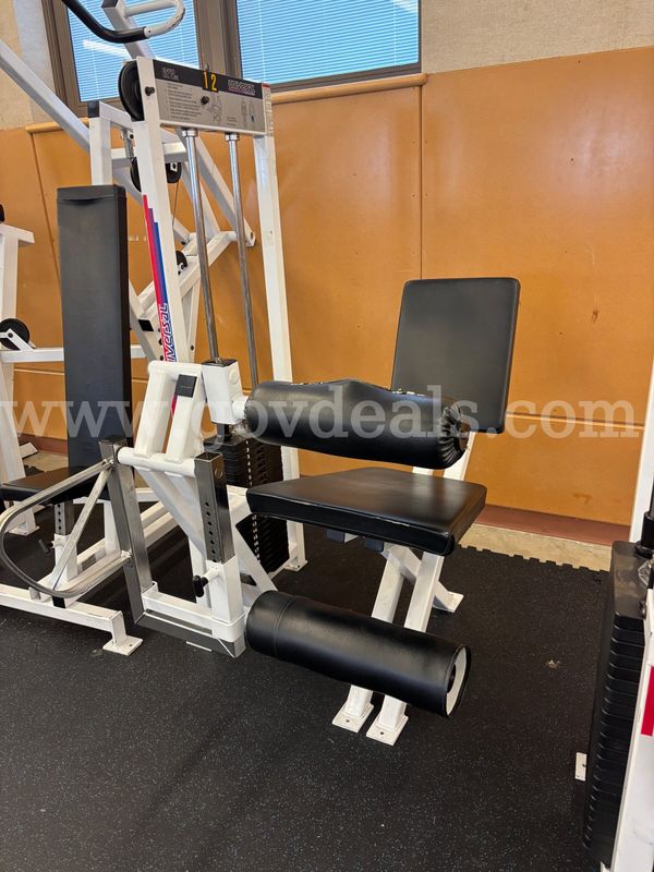 Seated Leg Curl
