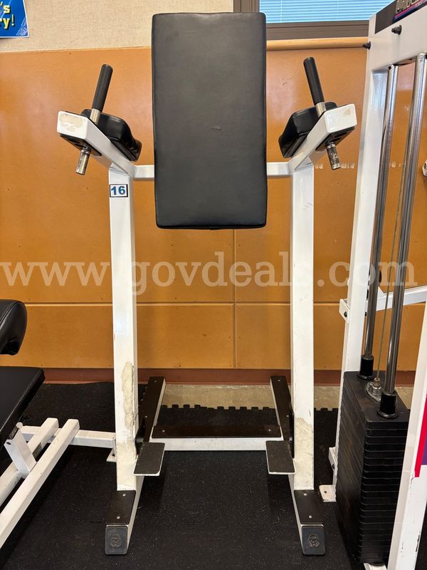 Vertical Knee Raises and Dip Station