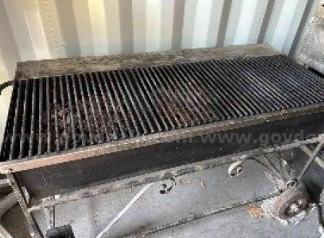 Propane Grill w/ Coal