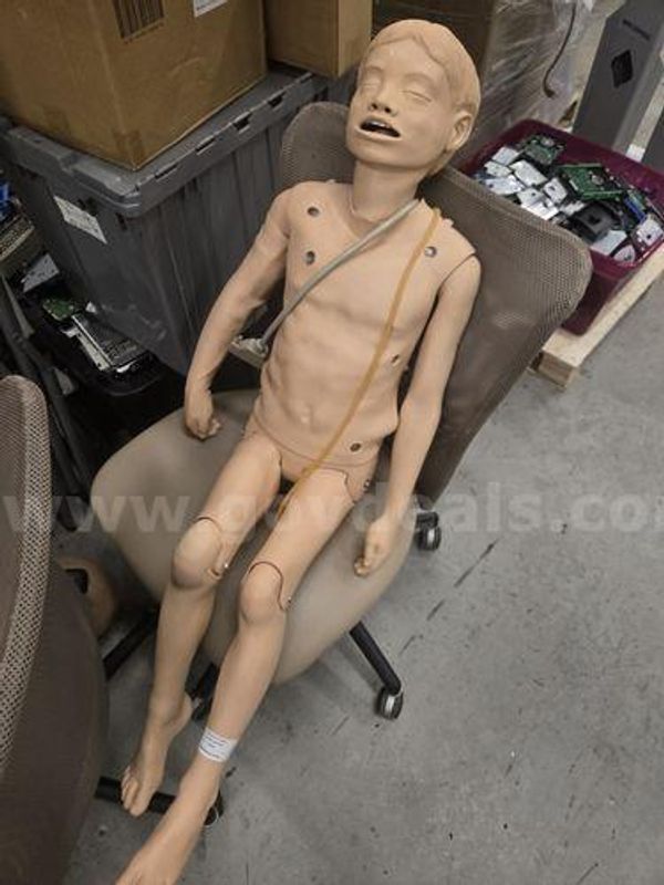 Medical Mannequins (219773 AJ)
