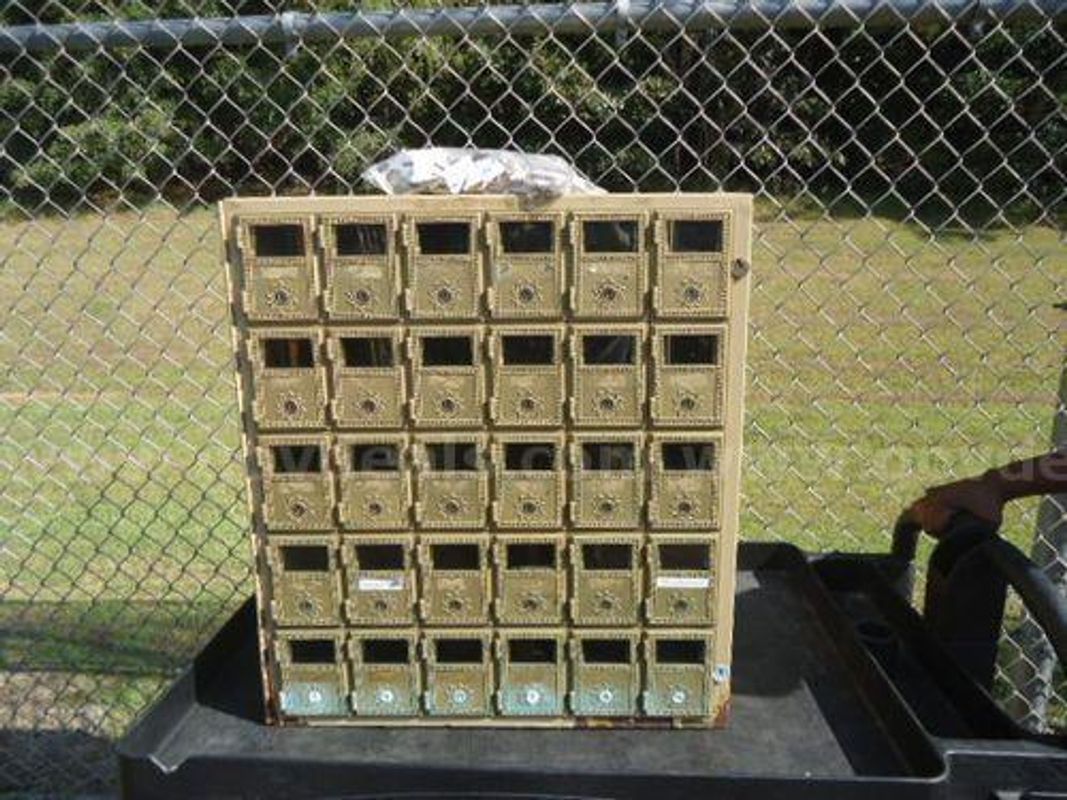 Metal Lockbox with Keys (223190 NM)