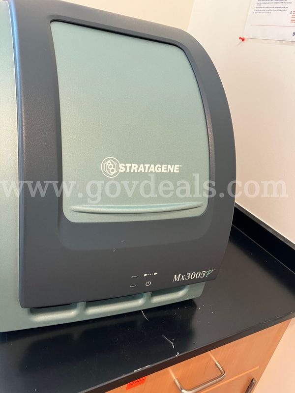 Mx3005 RT PCR
