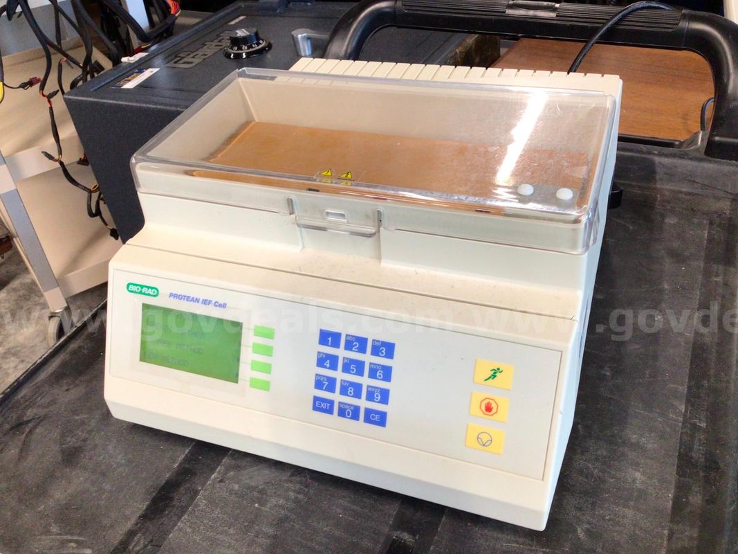 Bio Rad Protean IEF Cell