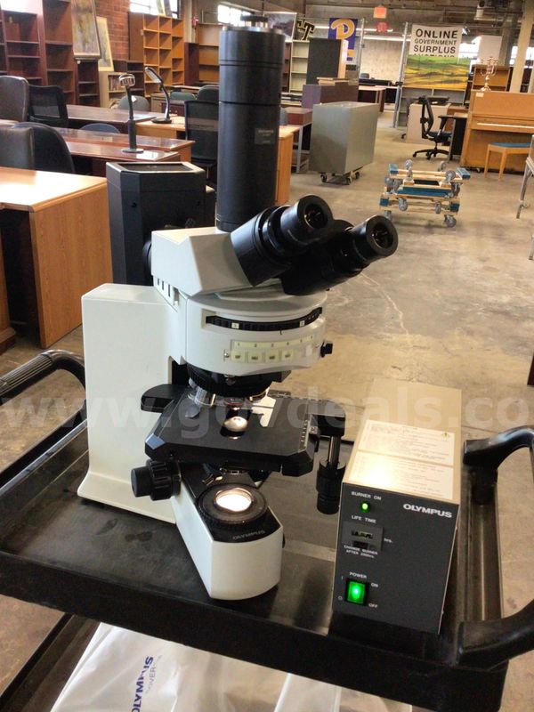 Olympus BX51TRF Microscope