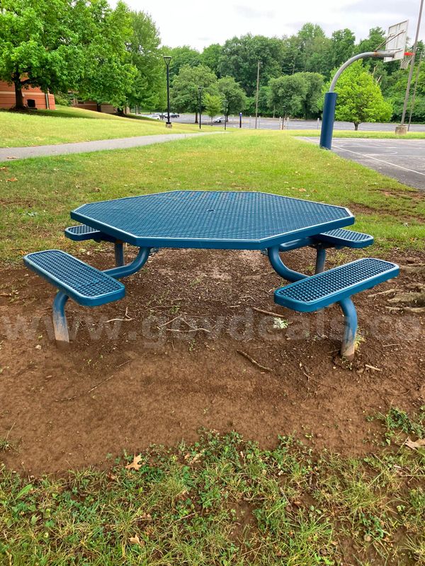 Metal Octagonal Picnic Table