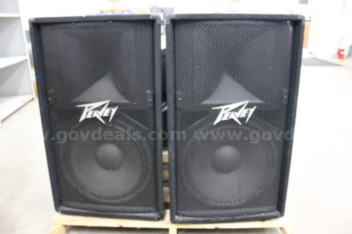 Lot of (2) Peavey PV115 Speakers.