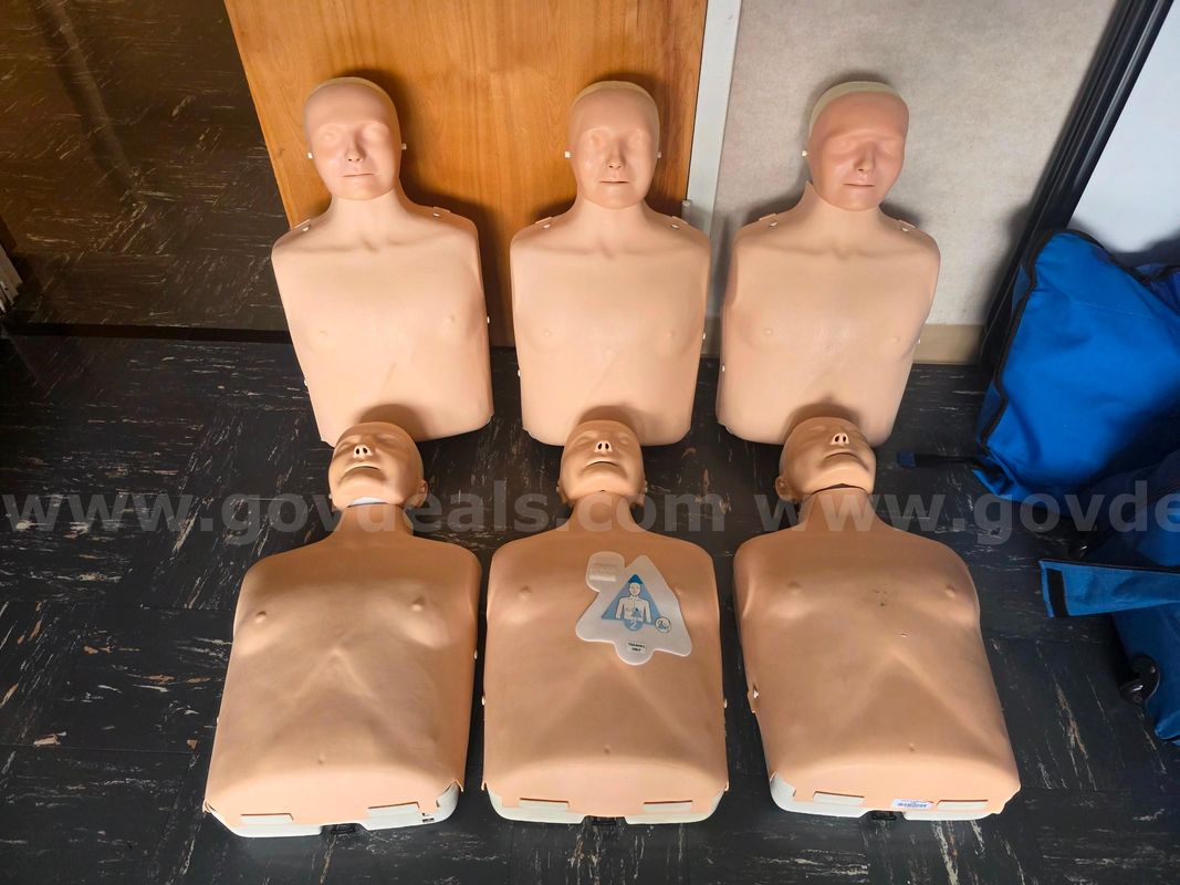 6 Recusci Anne Adult / 6 Recusci Anne Babies