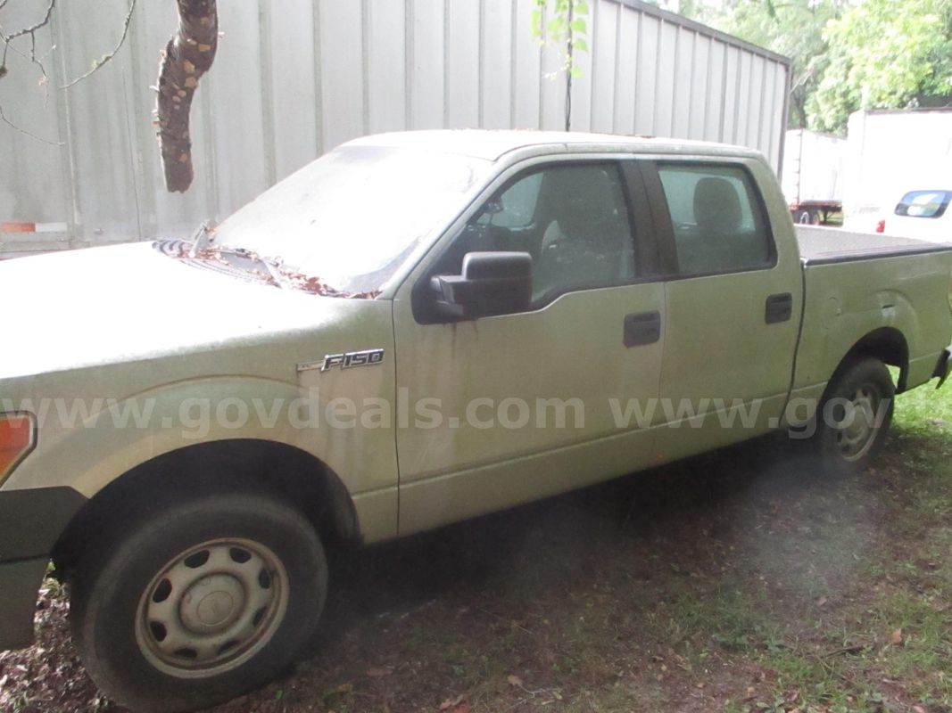2010 Ford F-150