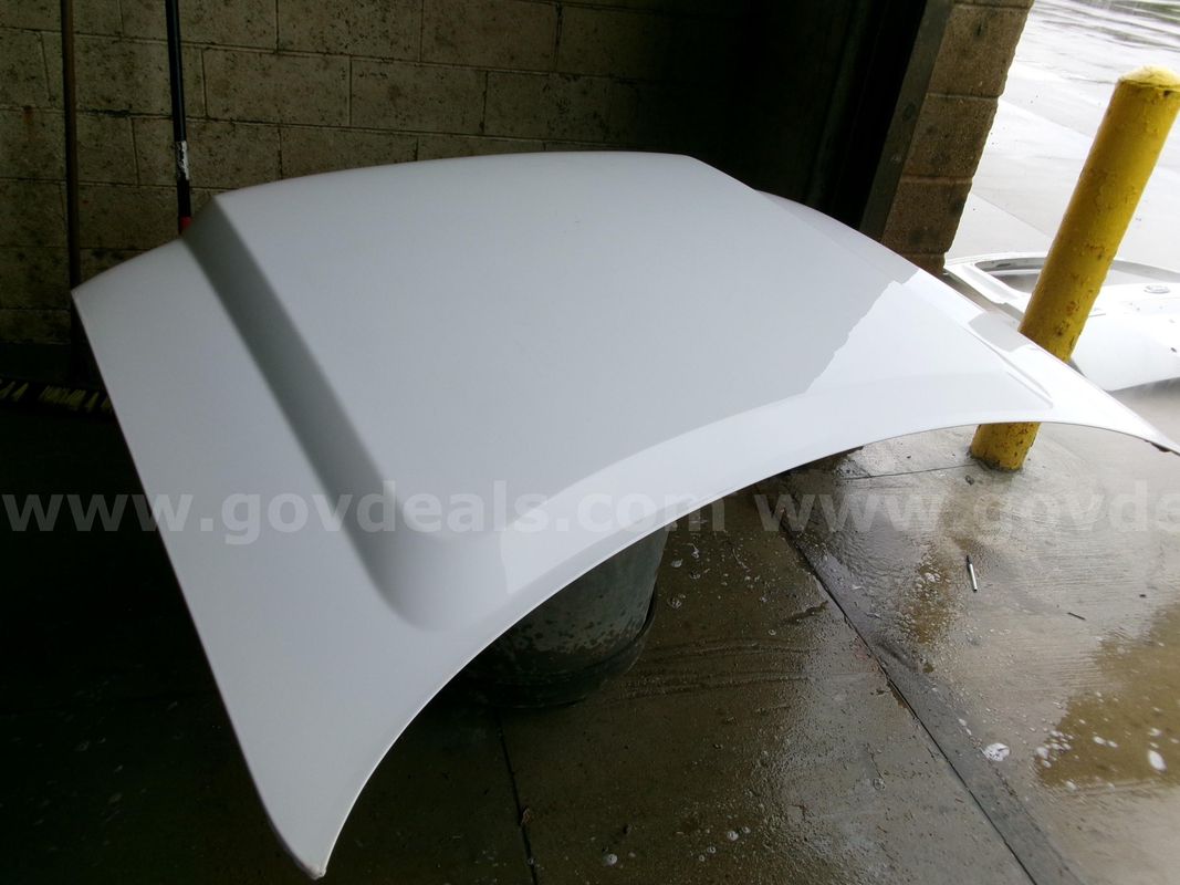 Ford Expedition Hood And Tailgate