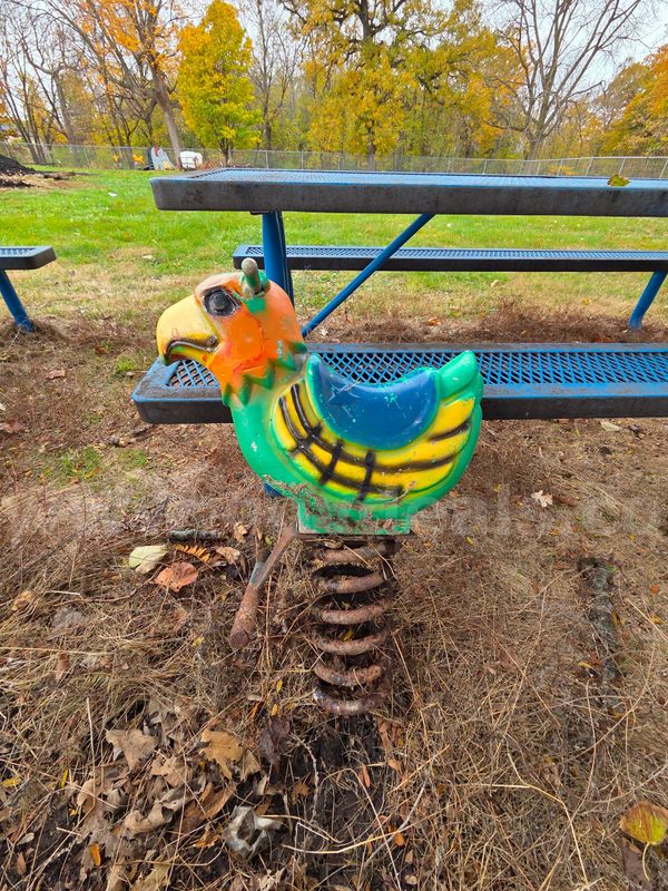 Bird playground spring rider