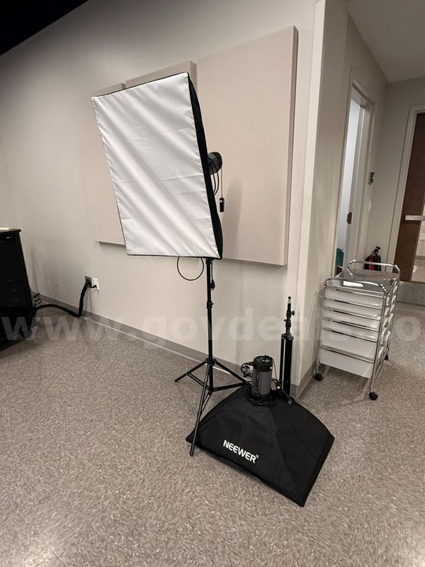 Asset ID #5435 — 2 Neewer N-250W Pro Photography Studio Flash Strobe | Tested | Clean |Fast Ship