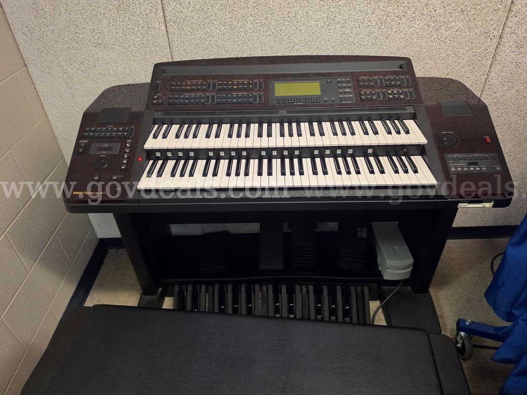 Organ