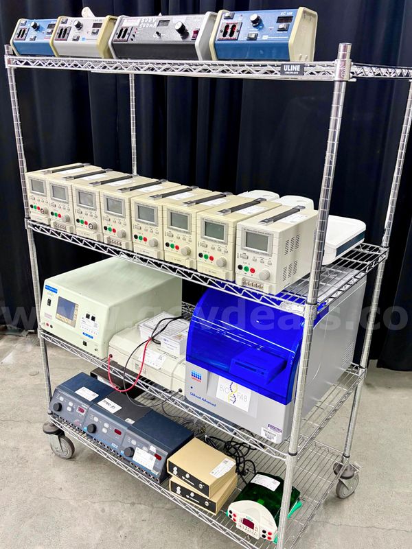 Lot of Electrophoresis & Related Equipment (426-6)