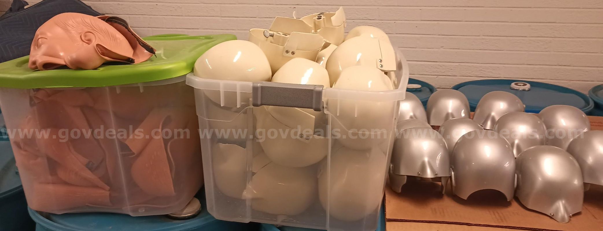 Lot of Typodont Heads and Skins