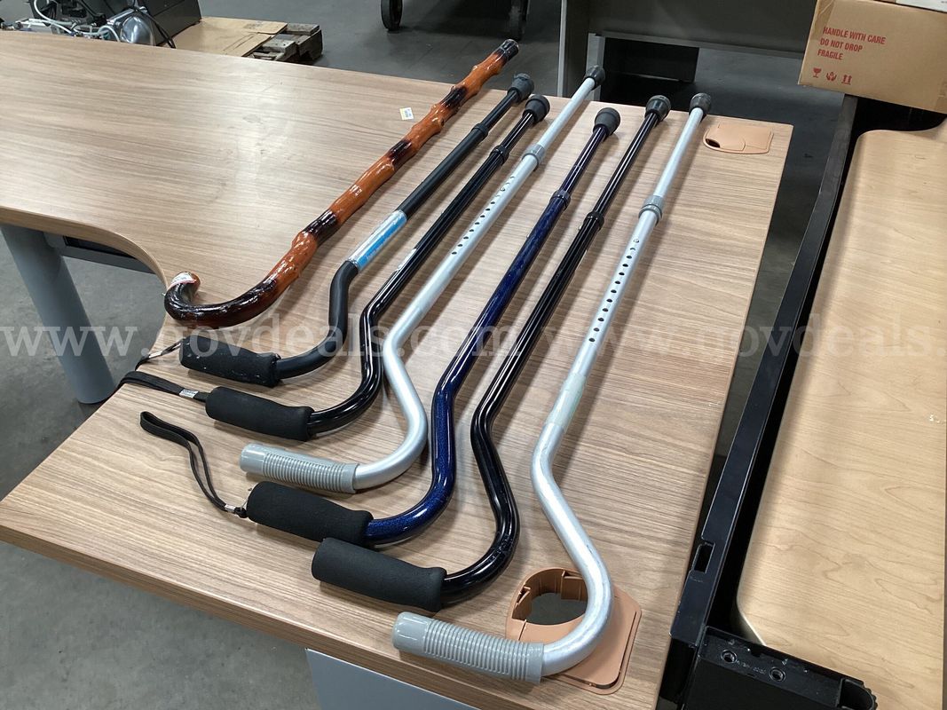 7 - Canes
