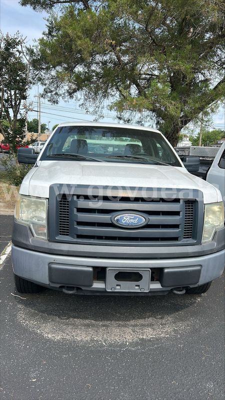 2010 Ford F-150