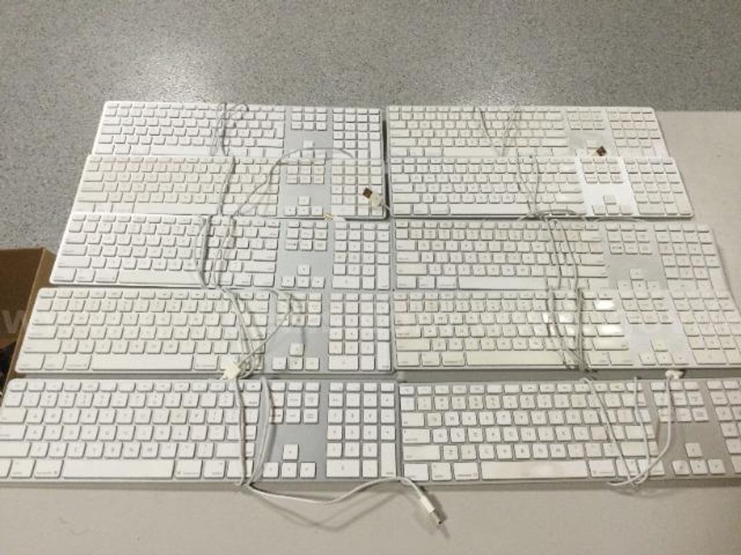 Lot of 10 Apple A1243 Full-Sized USB Wired Keyboards - Untested
