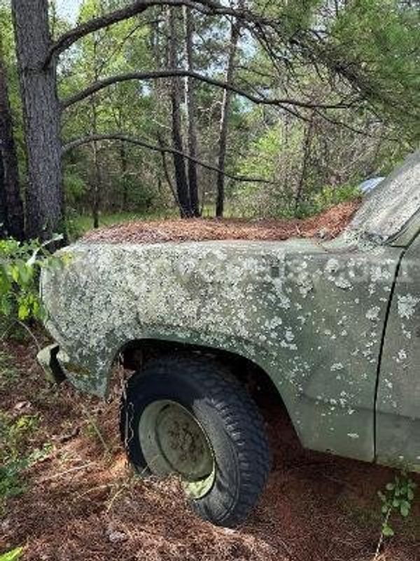 Dodge truck