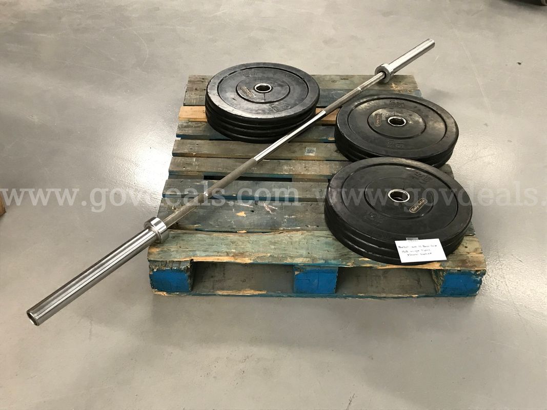 Barbell and 10 Body-Solid 15lb Weight Plates **Several Plates Cracked