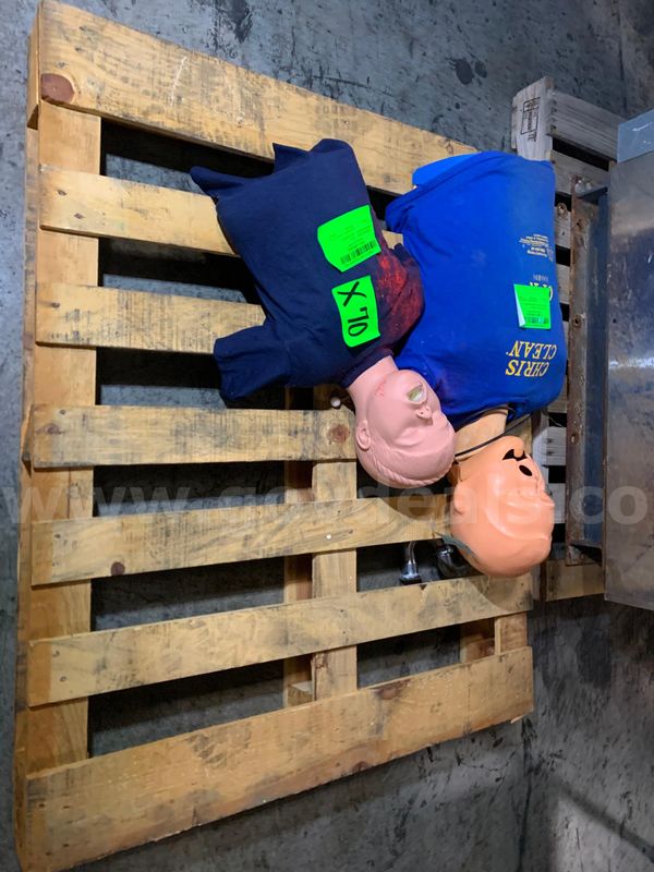 Medical Mannequin (2 pcs)