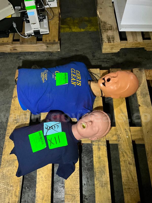 Medical Training Mannequins (2 pcs)