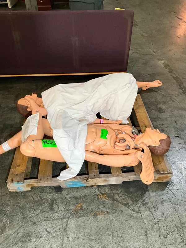 Medical Mannequin (2 pcs)