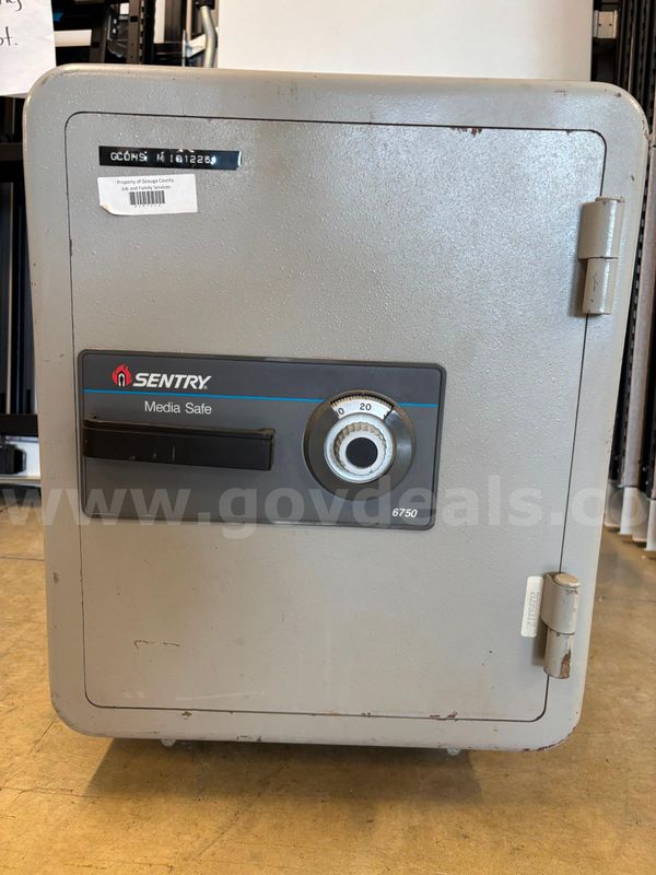 Sentry Media Safe