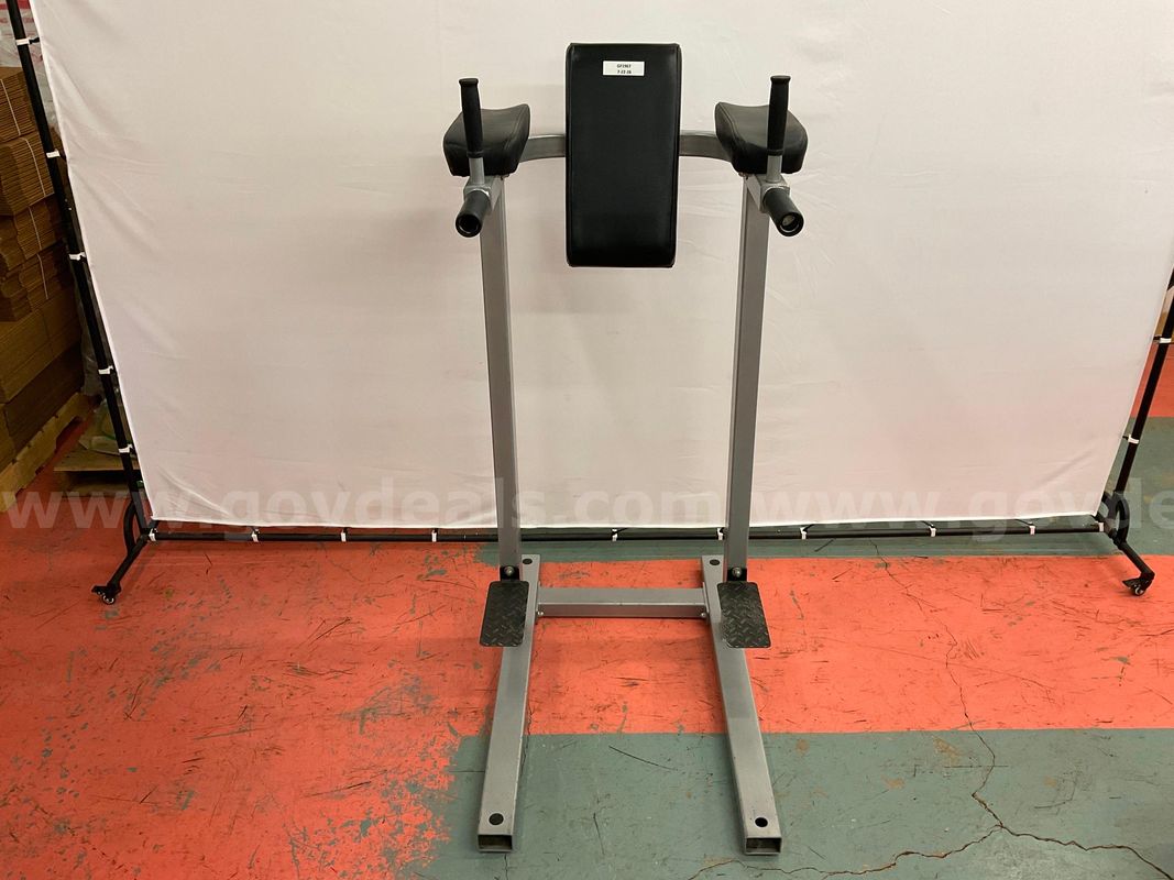 Paramount Knee Raise/Dip Stand Machine, Model PFW-6400S, 59"x40"x25"