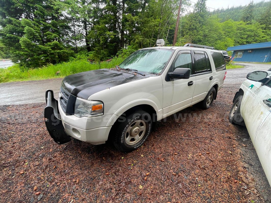 2008 Ford Expedition