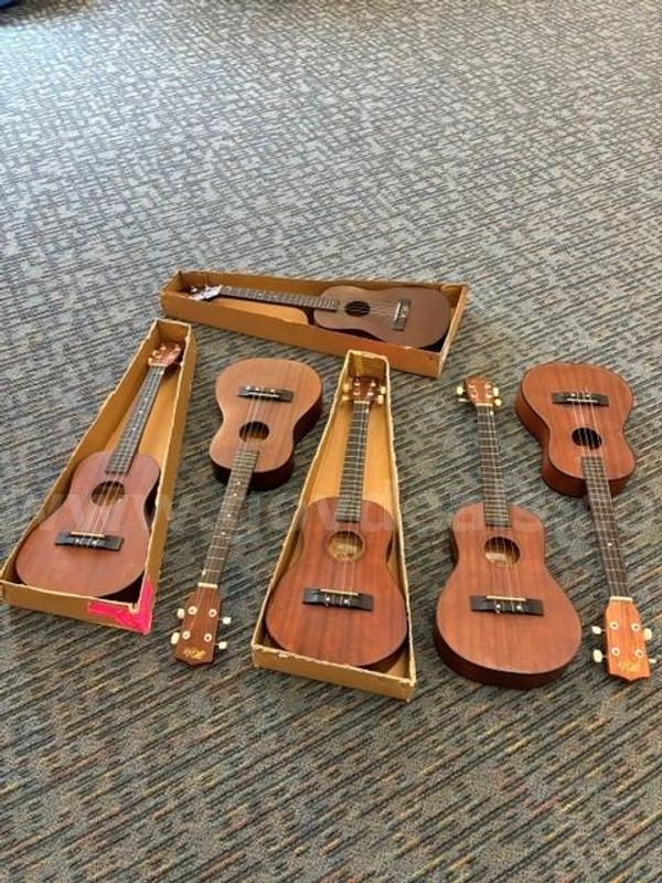 6 Hilo bass ukuleles