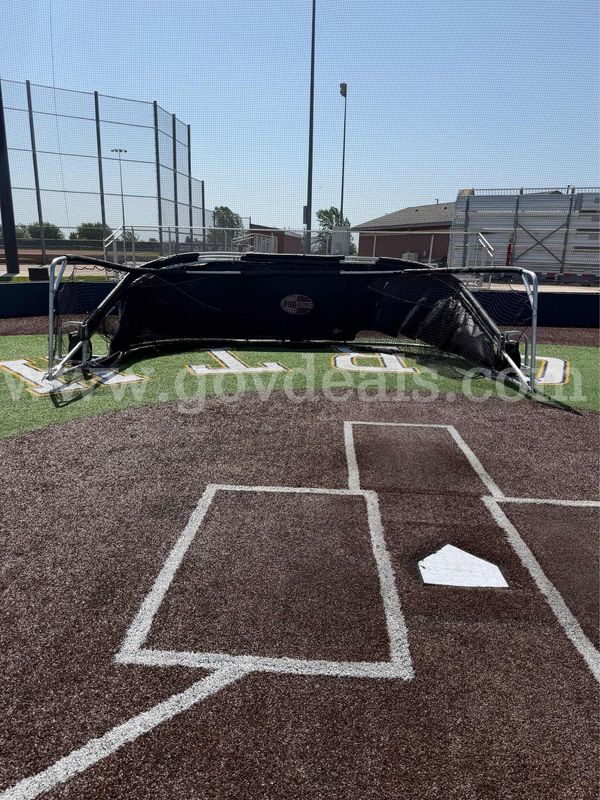 Full size Baseball Turtle