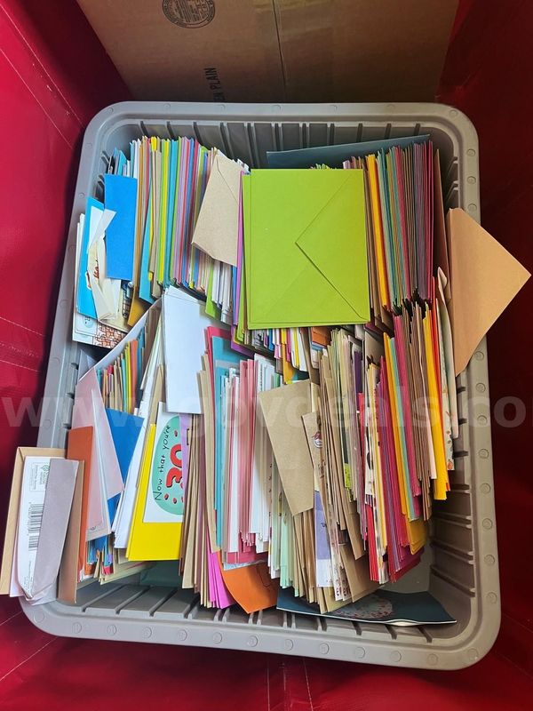 Greeting Cards - Bulk